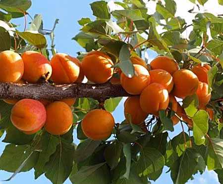 d14e203a6f970ce1681a47919b7f9c57