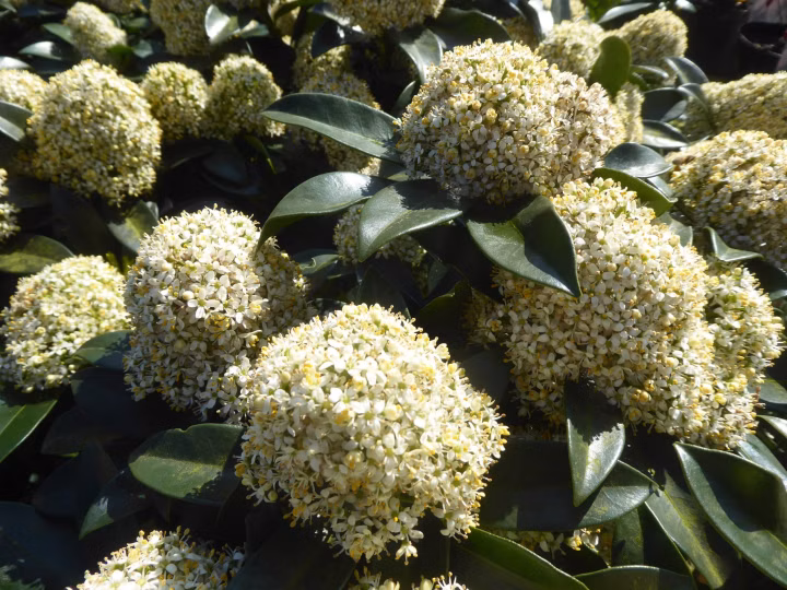 d154bec2c356ba4d4ace734ca3c63b12