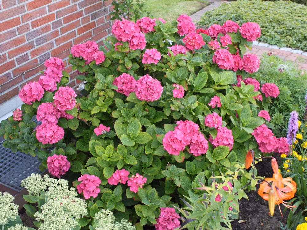 d16aa302bed1bc41b10a5fe377602de1