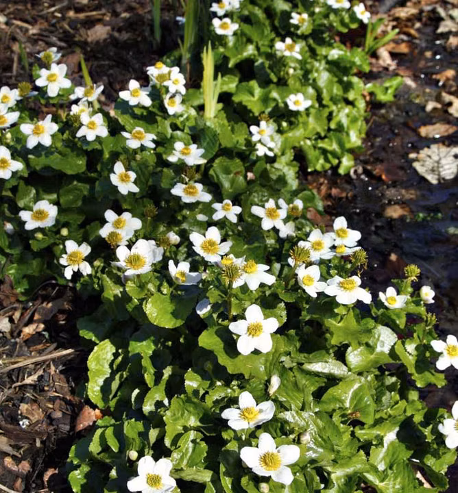 d192e009bbbb6fad439879f7410a83c8