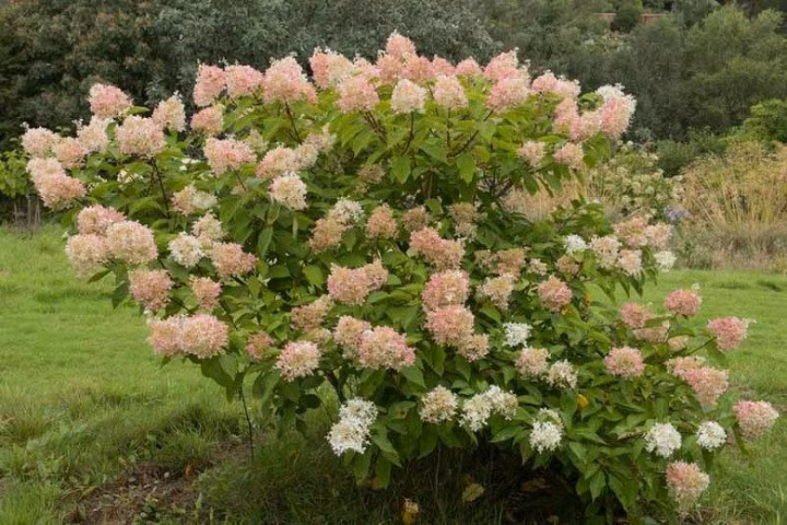 d1b13e95a13cf561b6545d70d7be2a7c