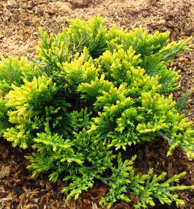 d1c5b65bfc982c72b3eb317c12acbfe6