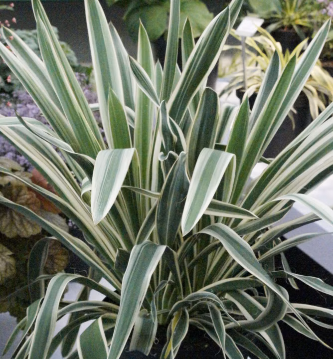 d1c6e6b9908b9a02547a15b77944aa14