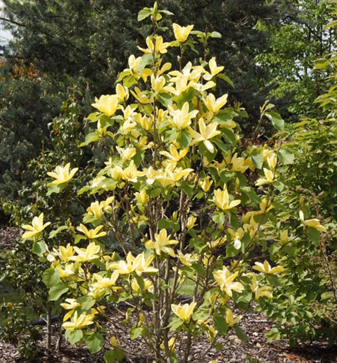 d20a8e04db4c95be9180bfd0e6ab9aed