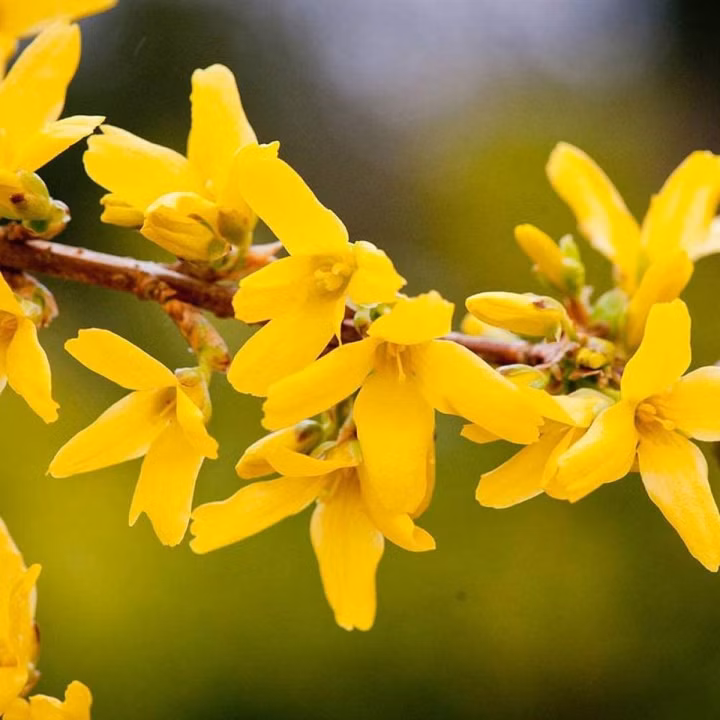 d225ad11cb59c9849a8cbe576e1e06b5