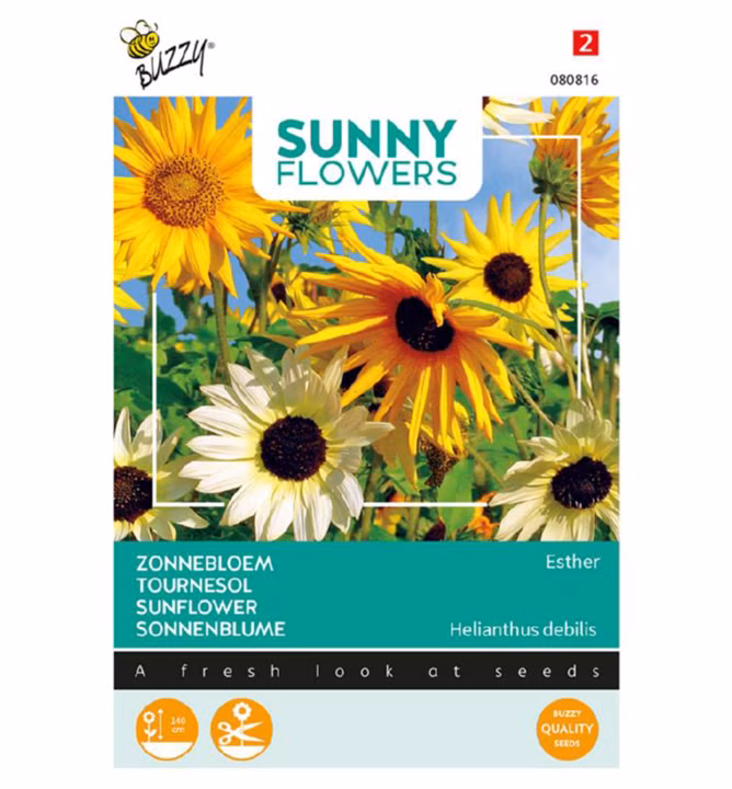 d26e15b568087d7f845f489dbd8cc76e