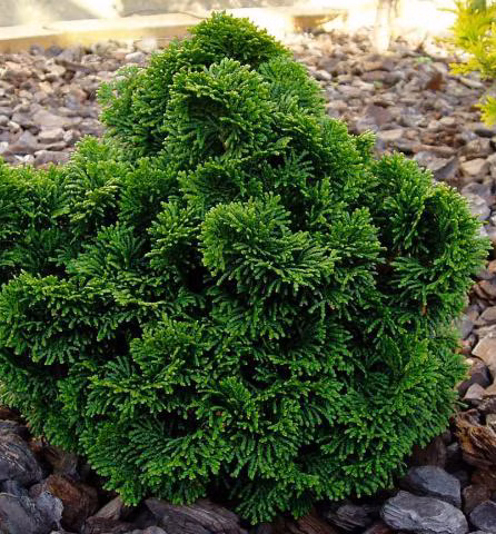 d2764e046b24d0c5fc37d02a1547f788