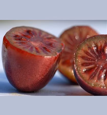 d27edfea9cfab7d963255b0c44753056