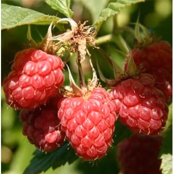 d2804f10123f95b71f9ef7c11eee7c46