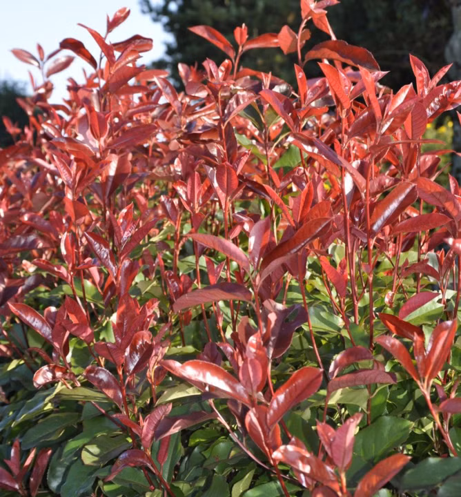 d285671e8f1da50edb3fe48ef035d471