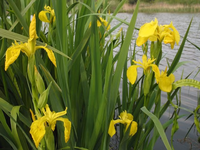 d2880deba4f3448553dc5e60c0c91368