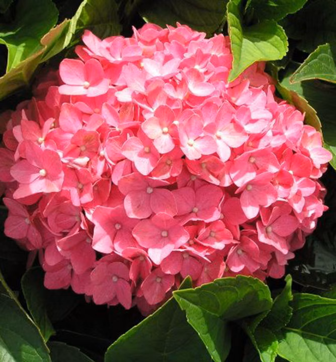 d2d59920a57985562b5777963ca83a8a