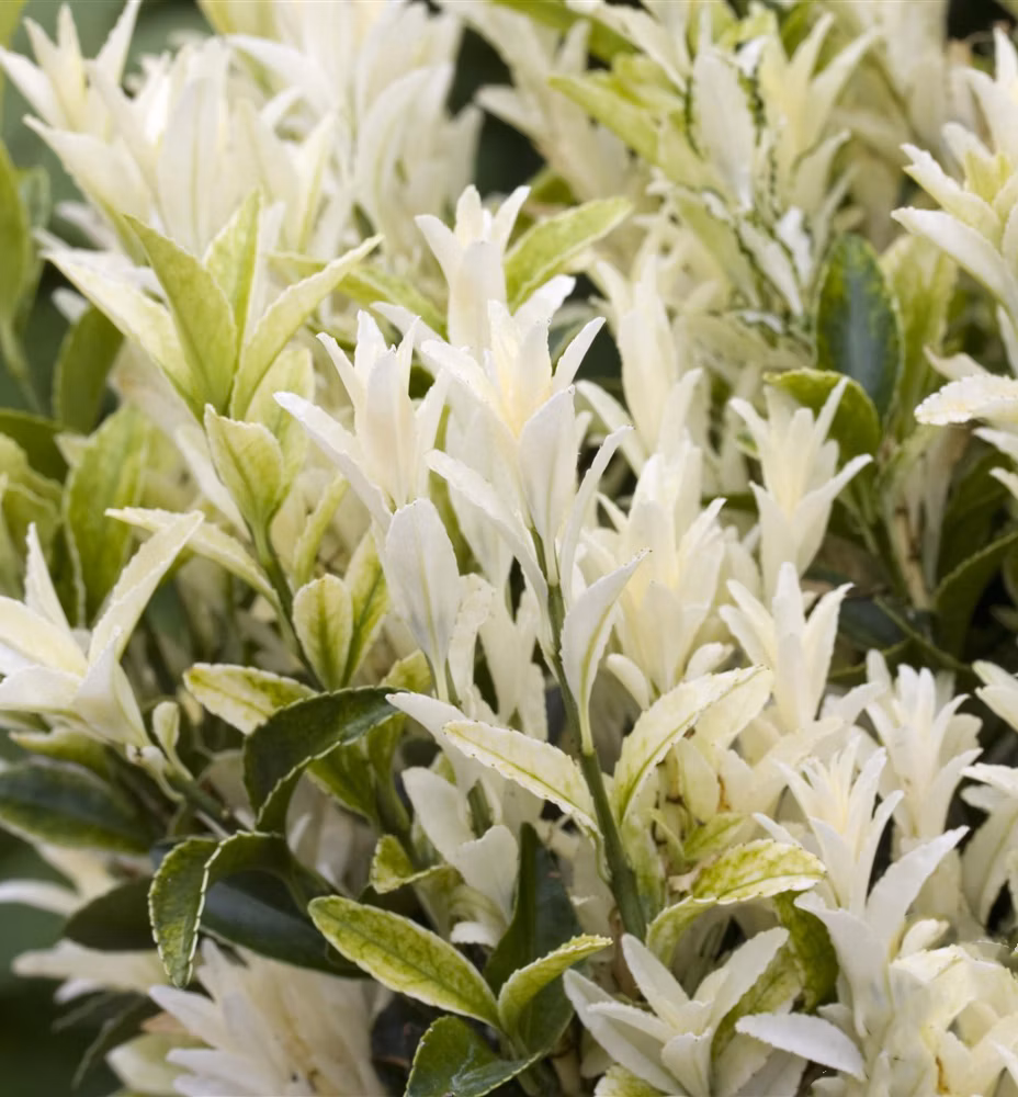 d2dfbe4f27c39e3d335c88dc4839ce4c