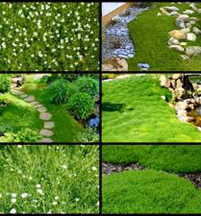 d2e940ecffbf2267789bdb9953efb3fc