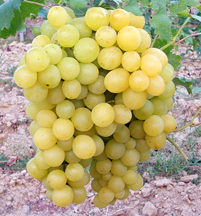 d307be115d40acdd1195780067f000cc