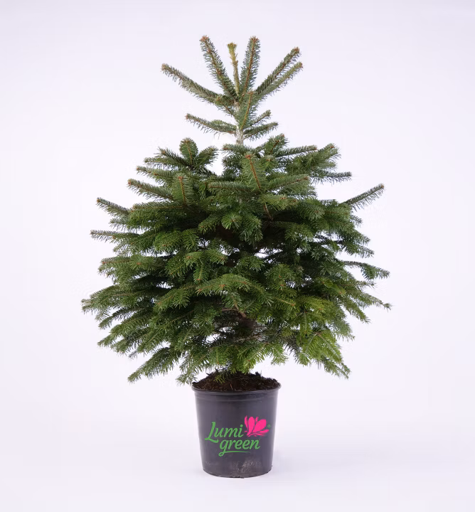 d32737ab170a5e137e35bf8f1caaa1ed