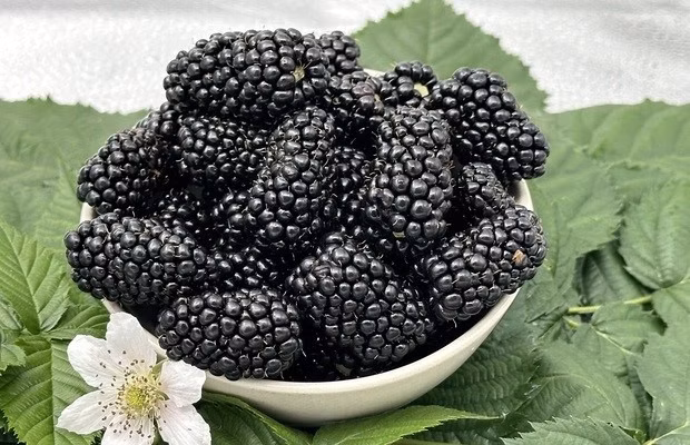 d341bac67574d96997b2ae4250cda3c6