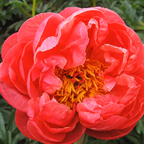 d40b90358ad3047b1757e4b8e828177d