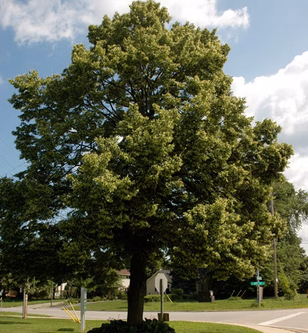 d4350a76d2893bac8a4fbd3648c2a14e