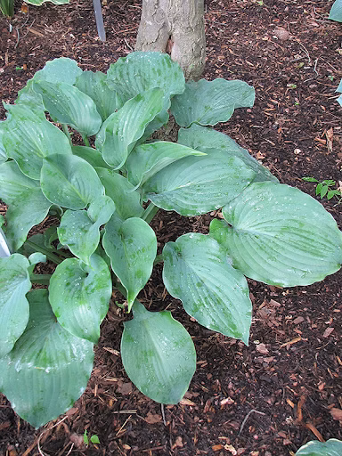 d4394c4d5254f7946a4cfba32b7a927d