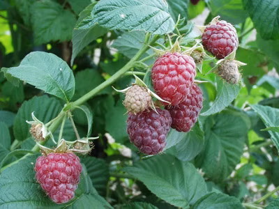 d471e41b052106b25d2678c3f17049db