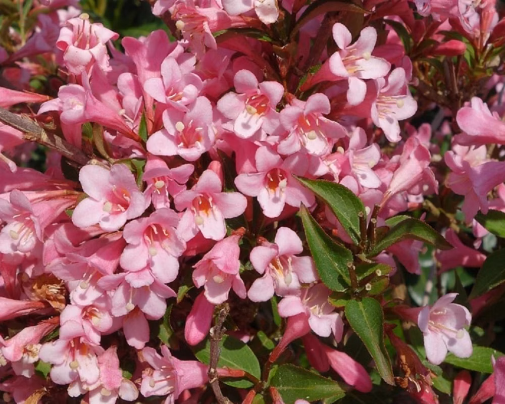 d476f28951c0471766f8114f702ac947