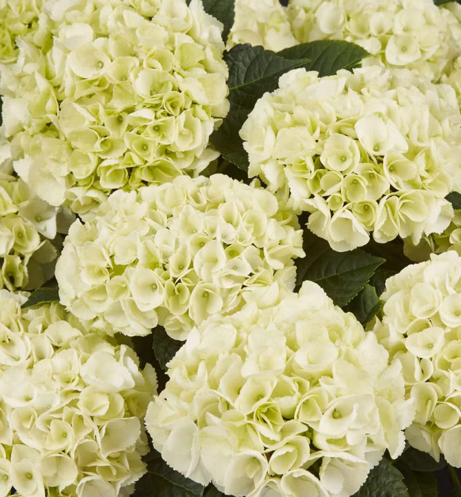 d4798e594a3b977b7db847eefcd5eb70