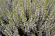 d49857327e127e82dfeb883d8684ff14