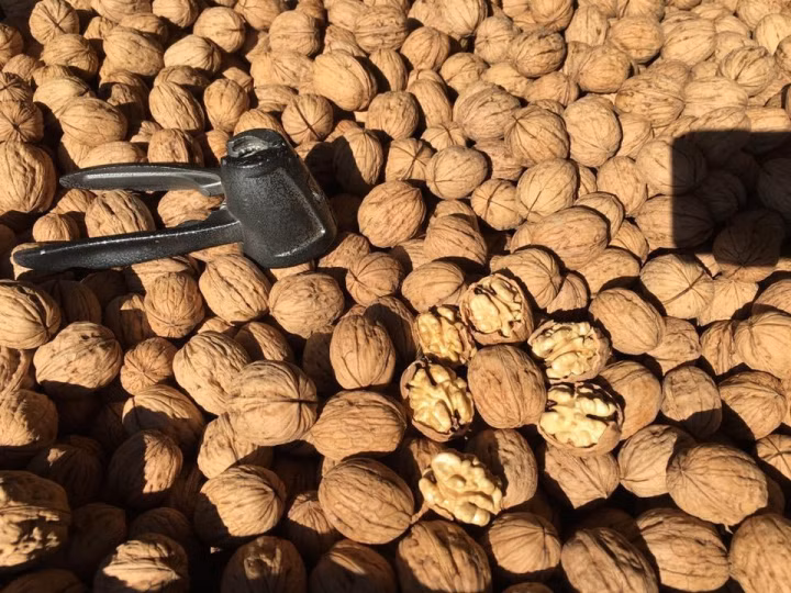 d4a67fb0f8deee230ae8bdde8d631b0c