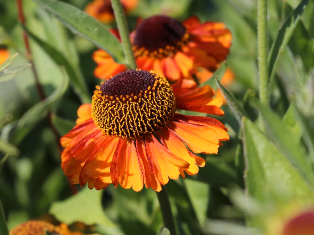 d4a693f855922c4d8a296bdc34eb5b3f