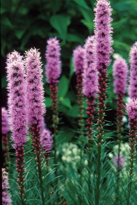 d4c22ff487cb880c26f227f0359e7df9