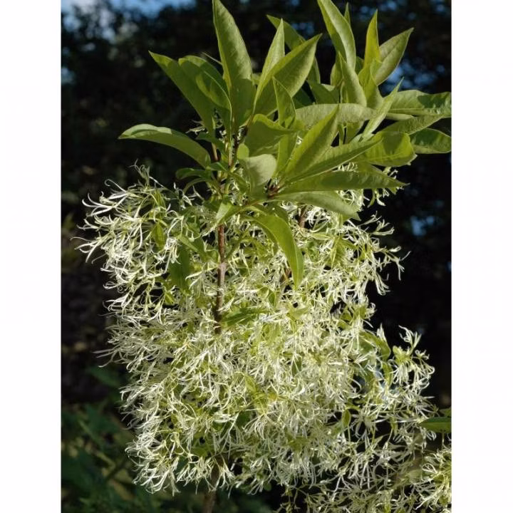 d4e84ee23e6ed84a4cdbe796415c15cd