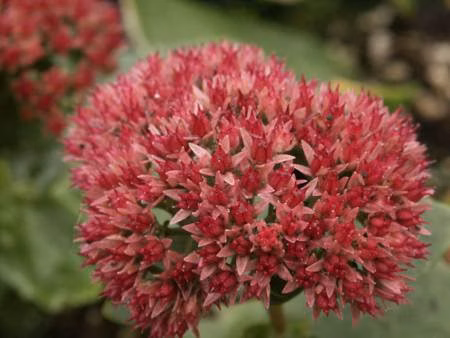 d4ea5f5c6cd37fae198292277cc2ae8f