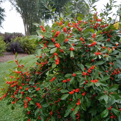 d4f1266403e760d896df27b913c07622