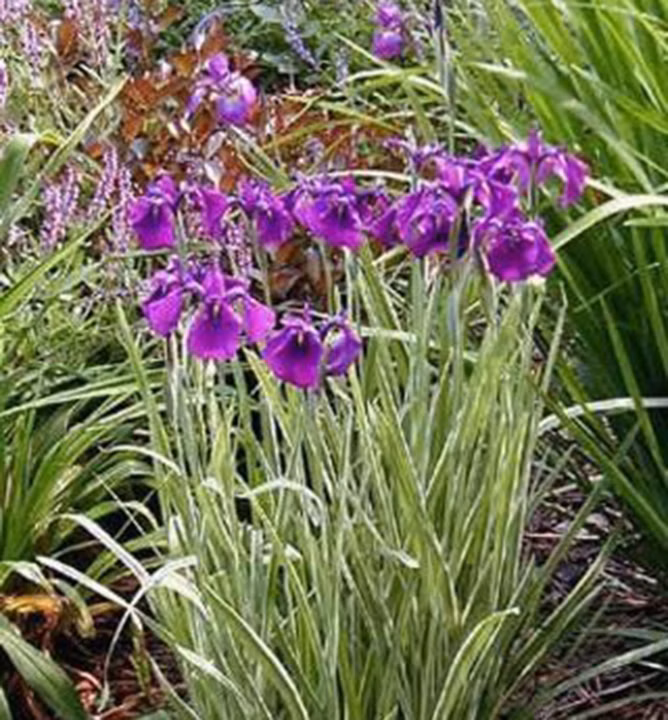 d4f51b093f8af83a28167e243167446f