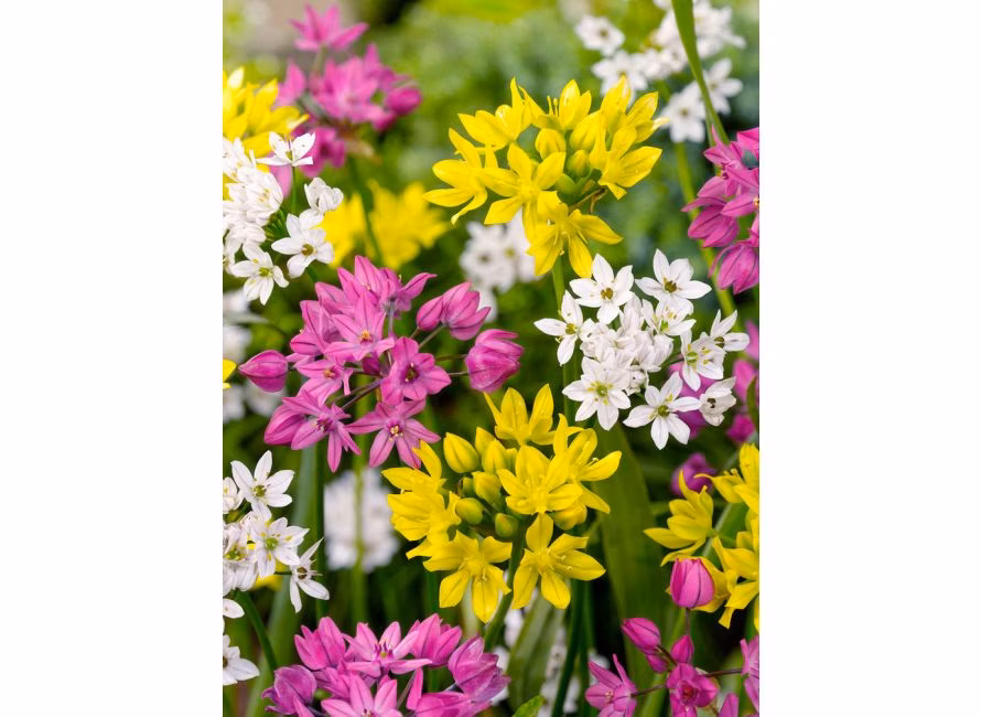 d4f89057004c7b28c0b9d8aa2617f54a