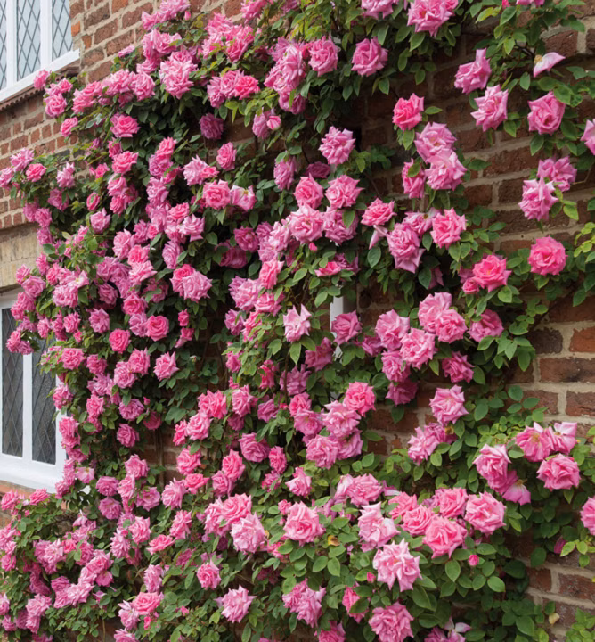 d5b6935ee26c52977fbdd2df2c18e23b