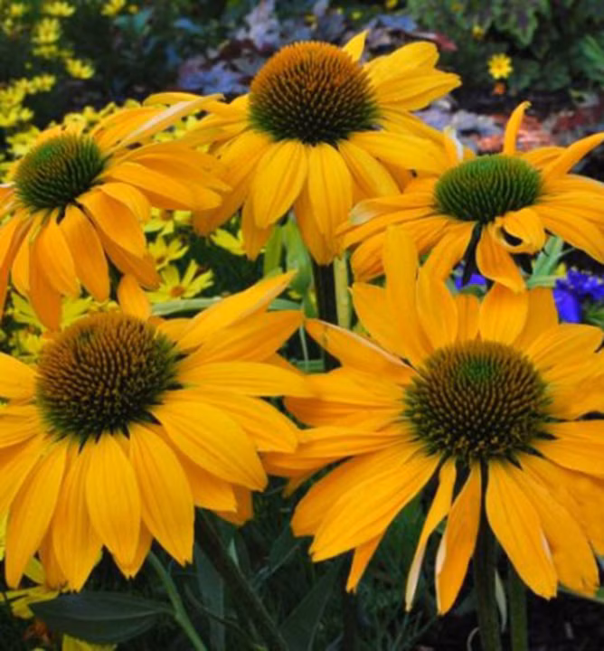 d5bdeb7faebf775b3bc525a541cb3fb8