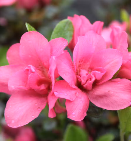 d5cd6a7fbc348bc939c82fbb2074a855