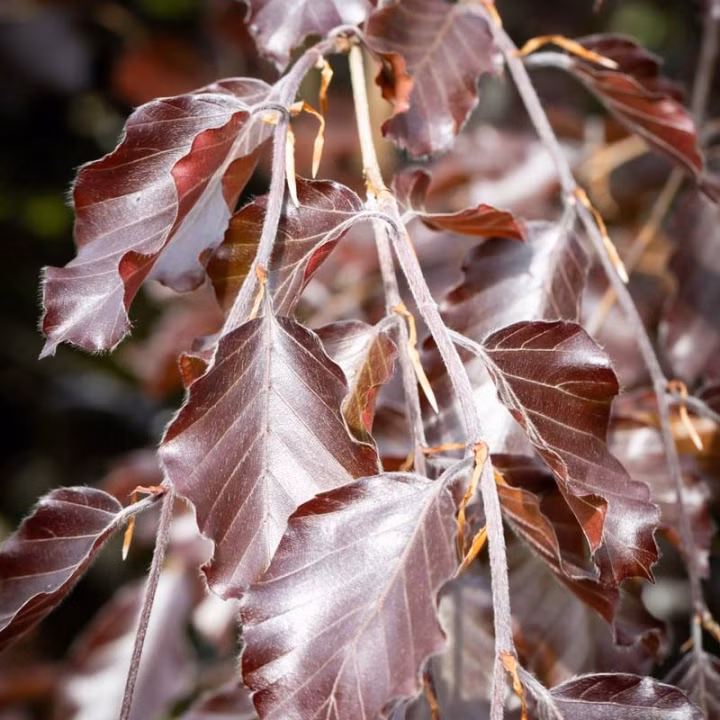 d6283ec81d7bcc47f2f3fad7e04b8274