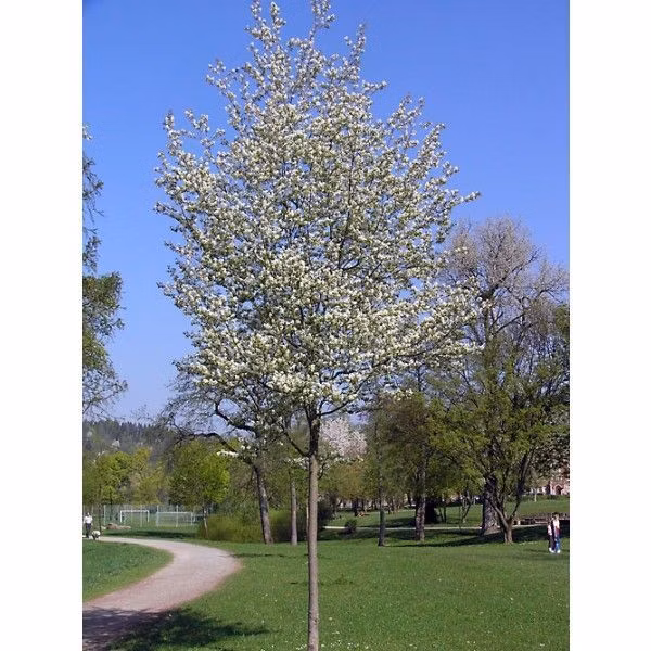 d63e2ad6d348c346636a7e7dca6352c0