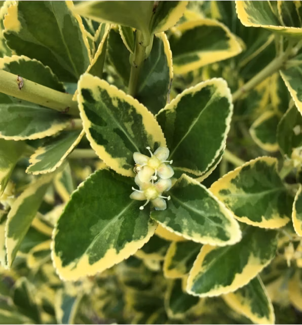 d6744ce9904d76dadde1a72f3e6c92c5