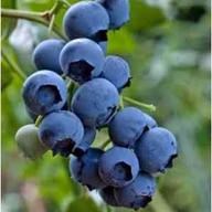 d67f05a25931298c2c6a49c1f16e444a