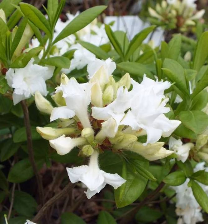 d69d0f0d812c497d5e1ee30d85c5db12