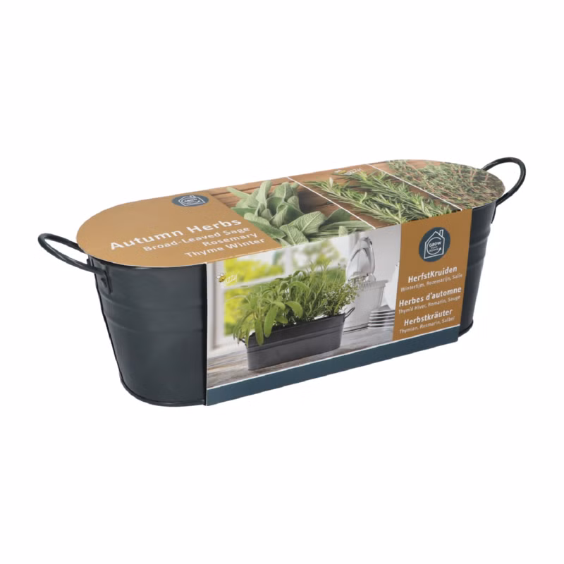 d6b5ecd7189f255fa52ce38b99ab9769