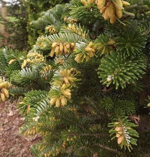 d6bf8880514ebec2c6b74ab49332d2ae