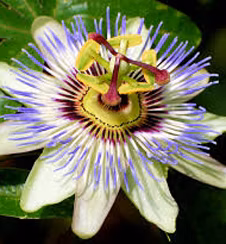 d6d177e61bee1ff9970e50aee0525462