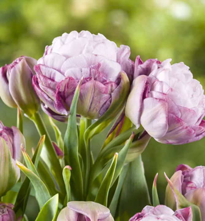 d6dc8876f2a61c3df5f32536de659deb