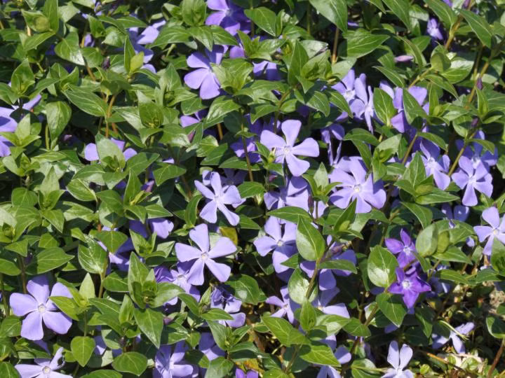 d6ec748e9030972dcb53bbbc68a76628