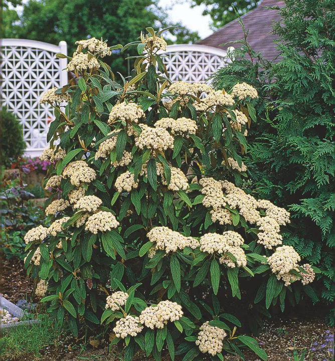 d6eeb72e29935de9e14f2b969397f3b4